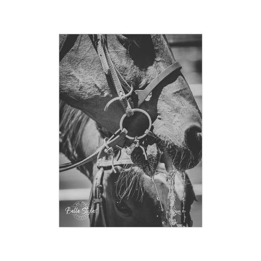Horse Unframed Print