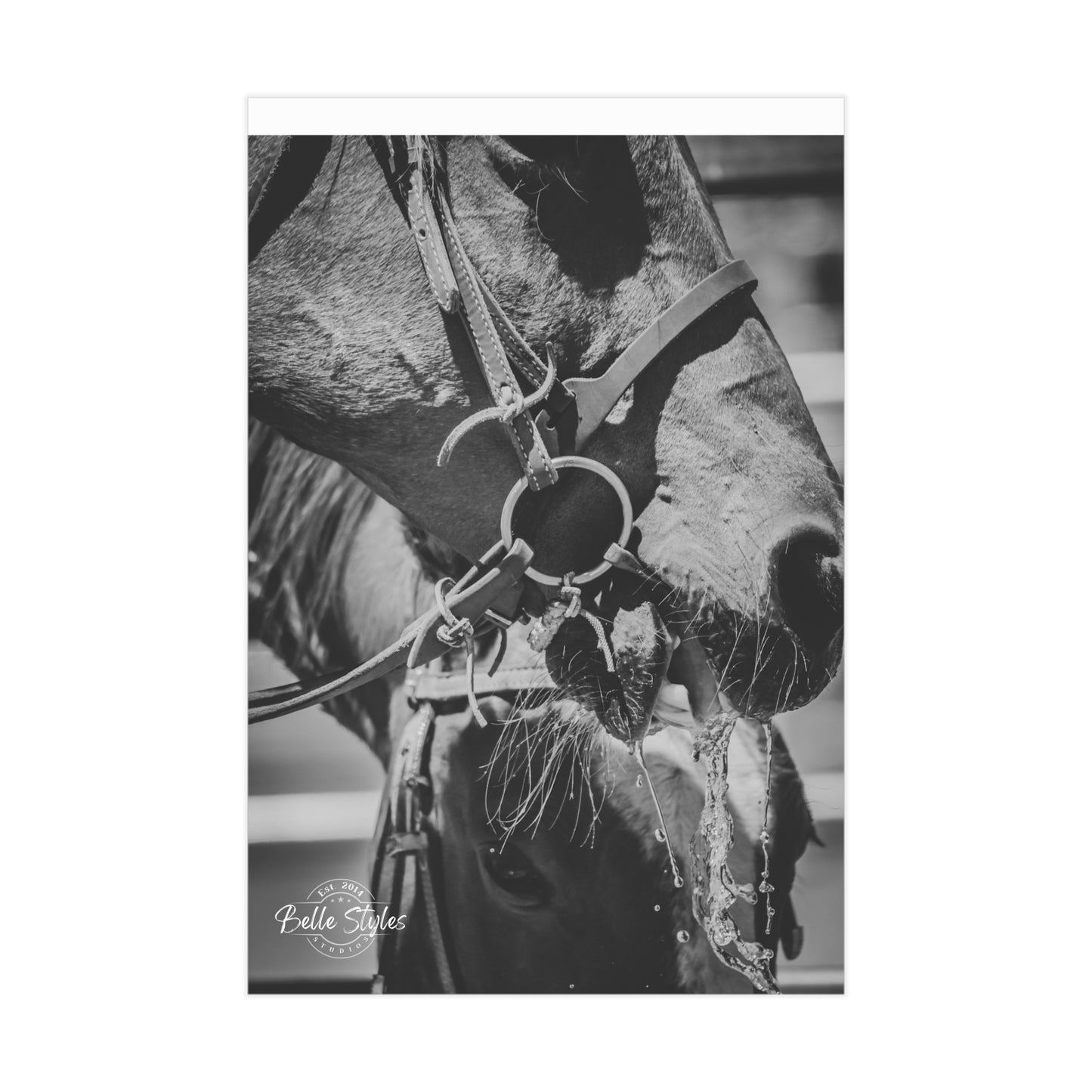 Horse Unframed Print