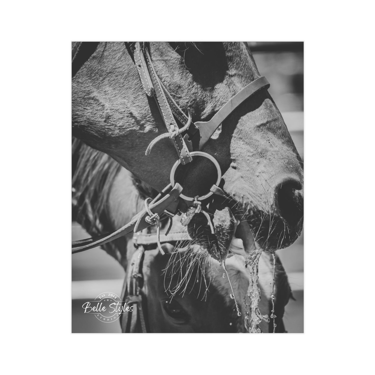 Horse Unframed Print