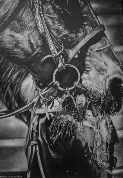 "Parched" graphite on paper horse study