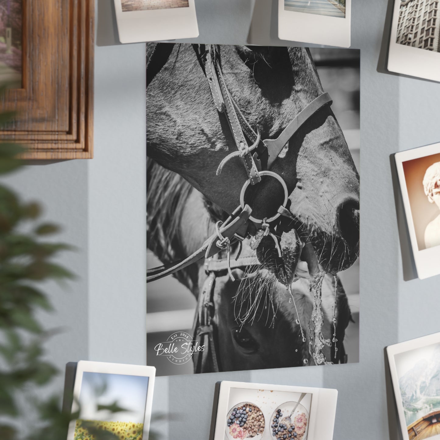 Horse Unframed Print