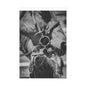 Horse Unframed Print