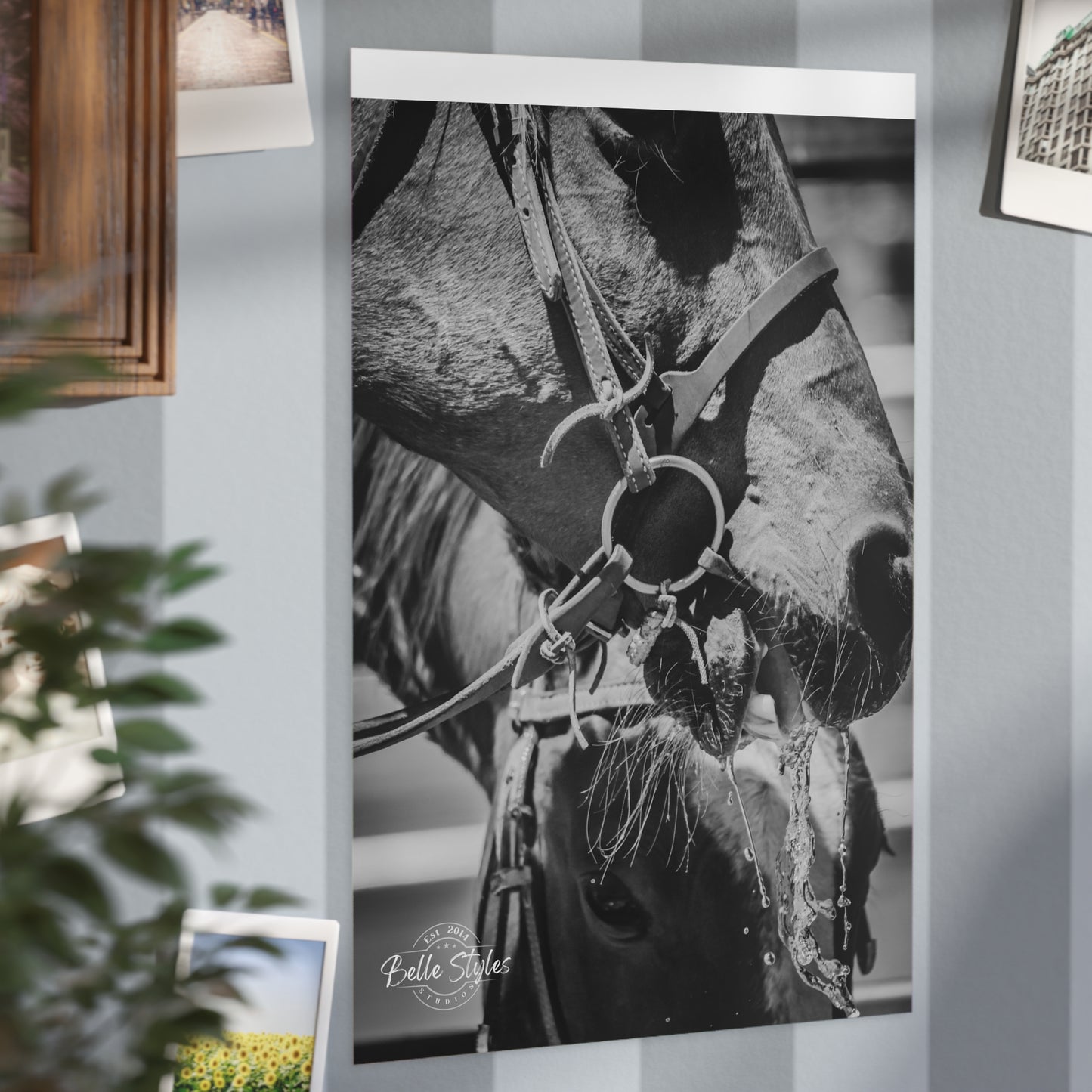 Horse Unframed Print
