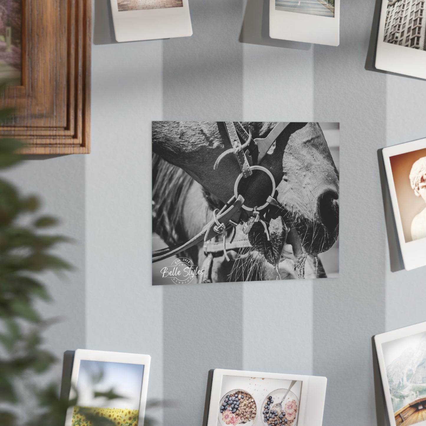 Horse Unframed Print