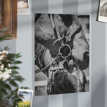 Horse Unframed Print