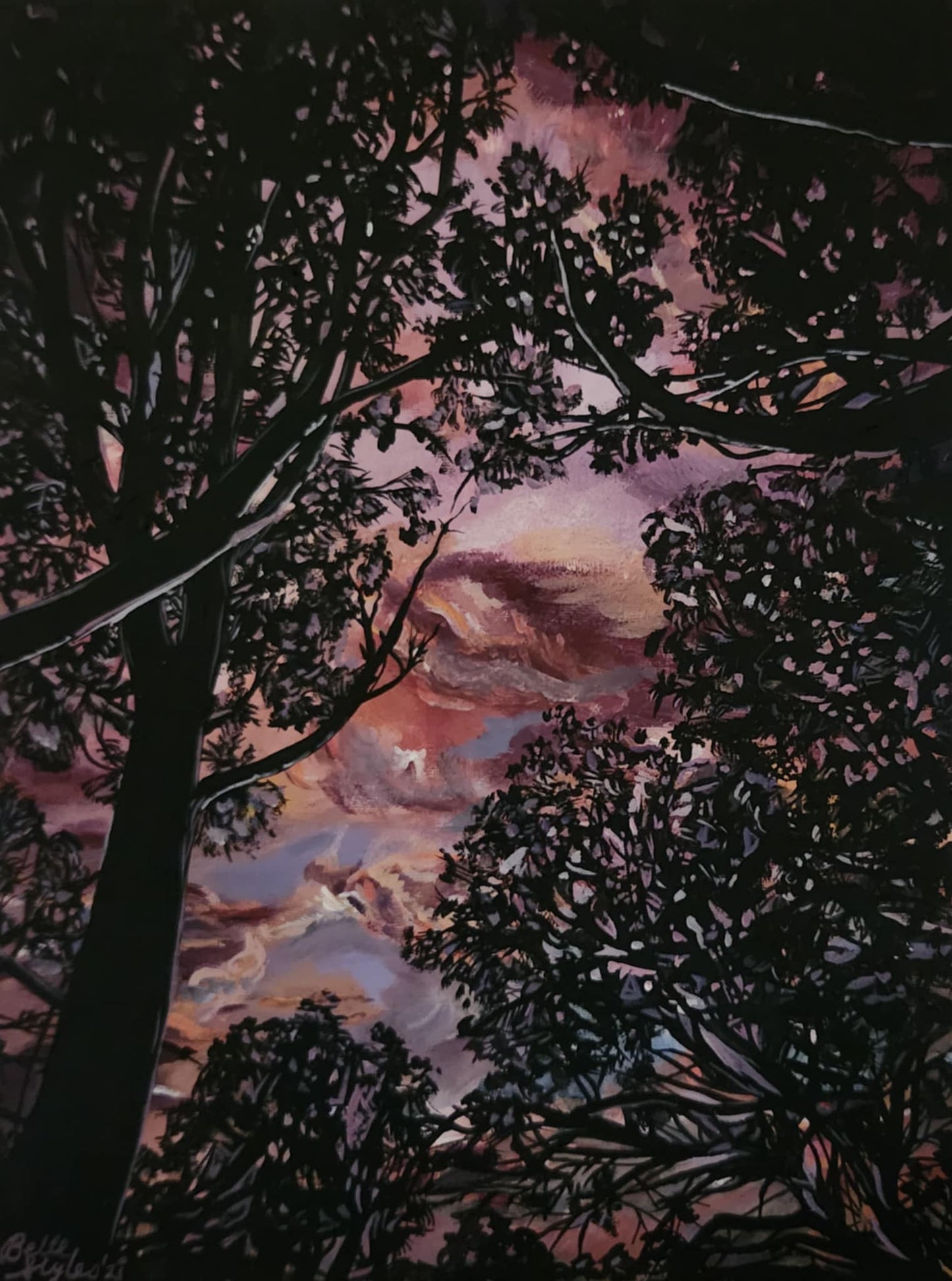 Tree and Sky Study At Sunset