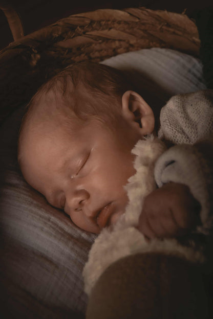 Photography Sessions